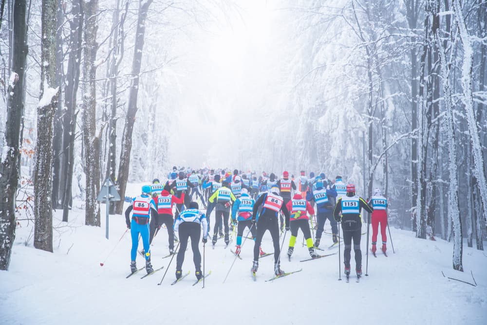 Biegi narciarskie - sezon 2020/21